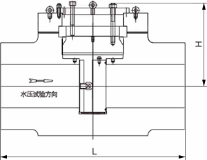 水壓試驗(yàn)堵閥結(jié)構(gòu)示意圖